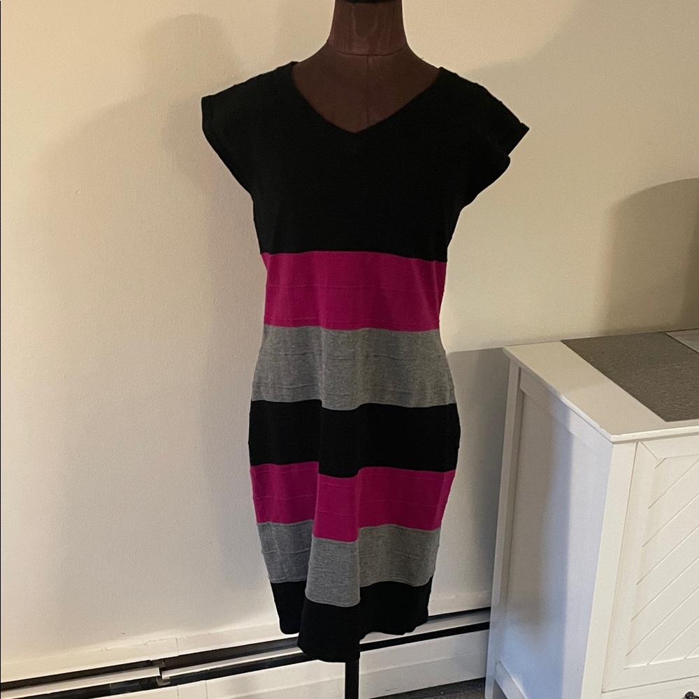 Pink Rose Black, Pink, and Gray Striped Mini Dress